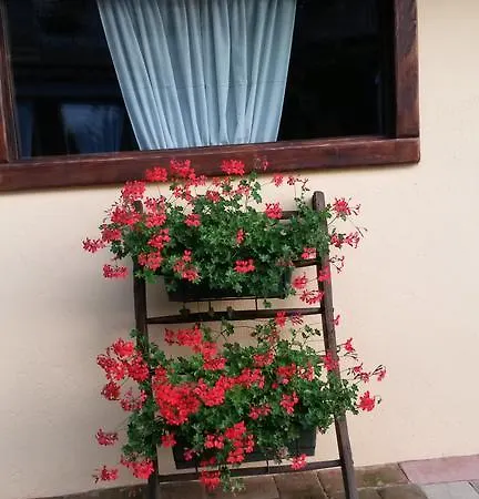 Il Salice Bed and Breakfast