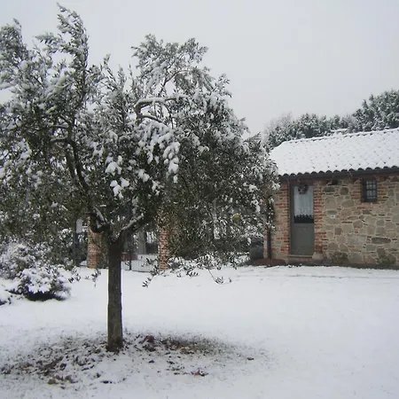 Il Salice